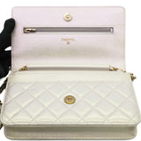 Iridescent Quilted Wallet On Chain WOC