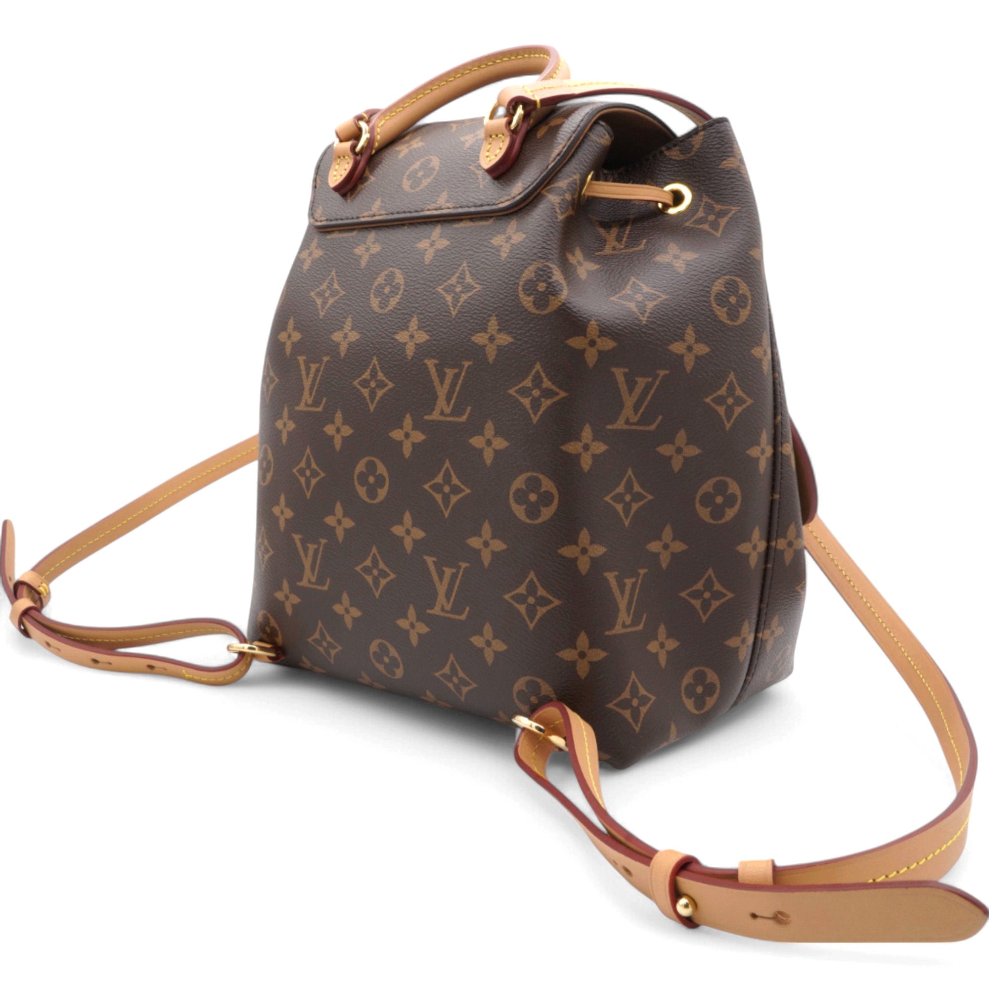 Monogram Montsouris PM Backpack