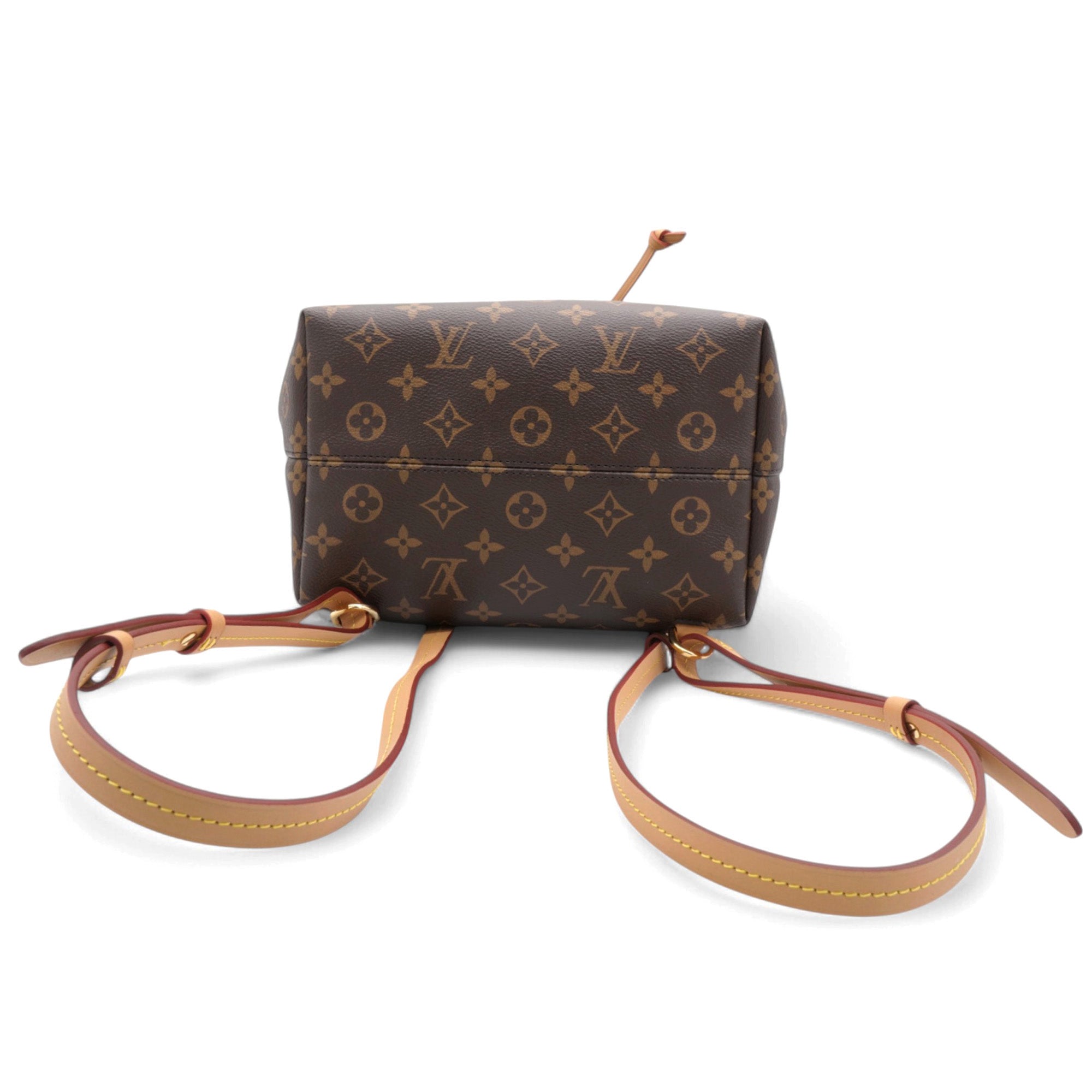 Monogram Montsouris PM Backpack