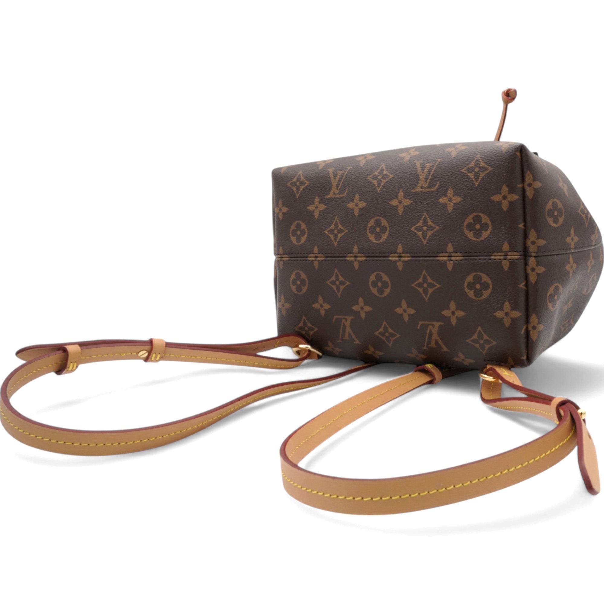Monogram Montsouris PM Backpack