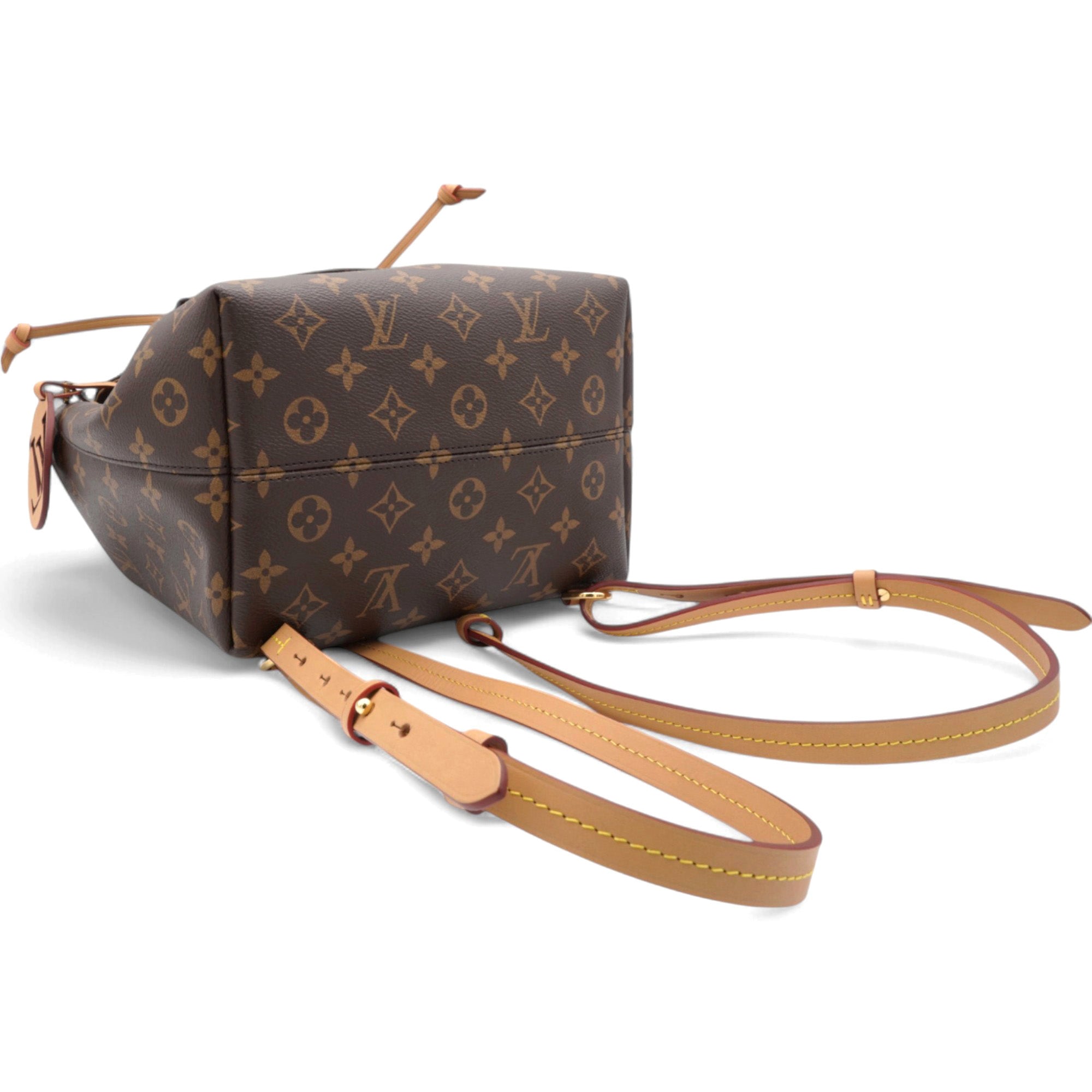 Monogram Montsouris PM Backpack