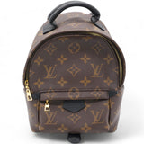 Monogram Palm Springs Backpack Mini