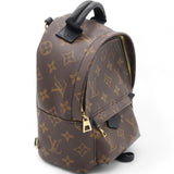 Monogram Palm Springs Backpack Mini