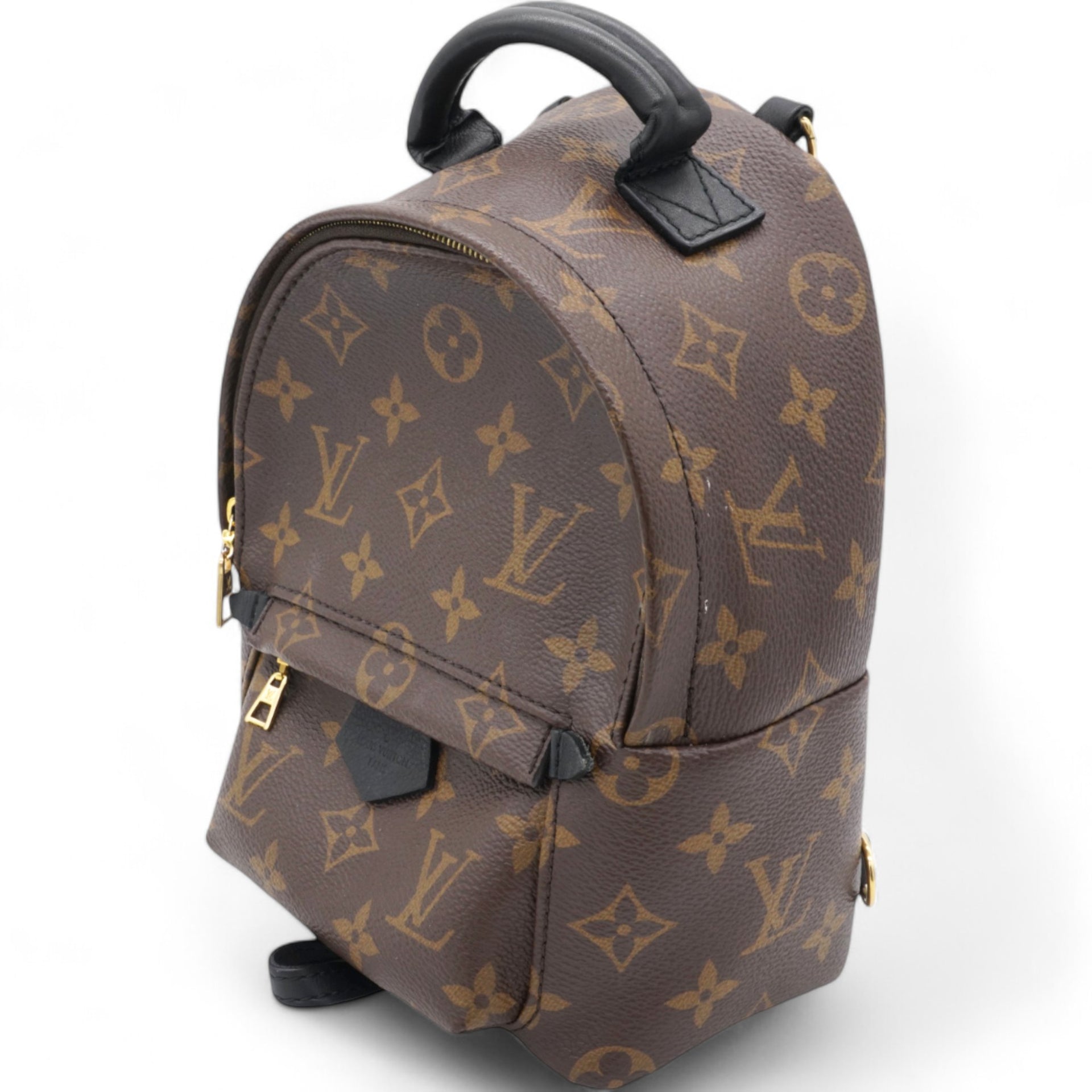 Monogram Palm Springs Backpack Mini