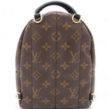 Monogram Palm Springs Backpack Mini