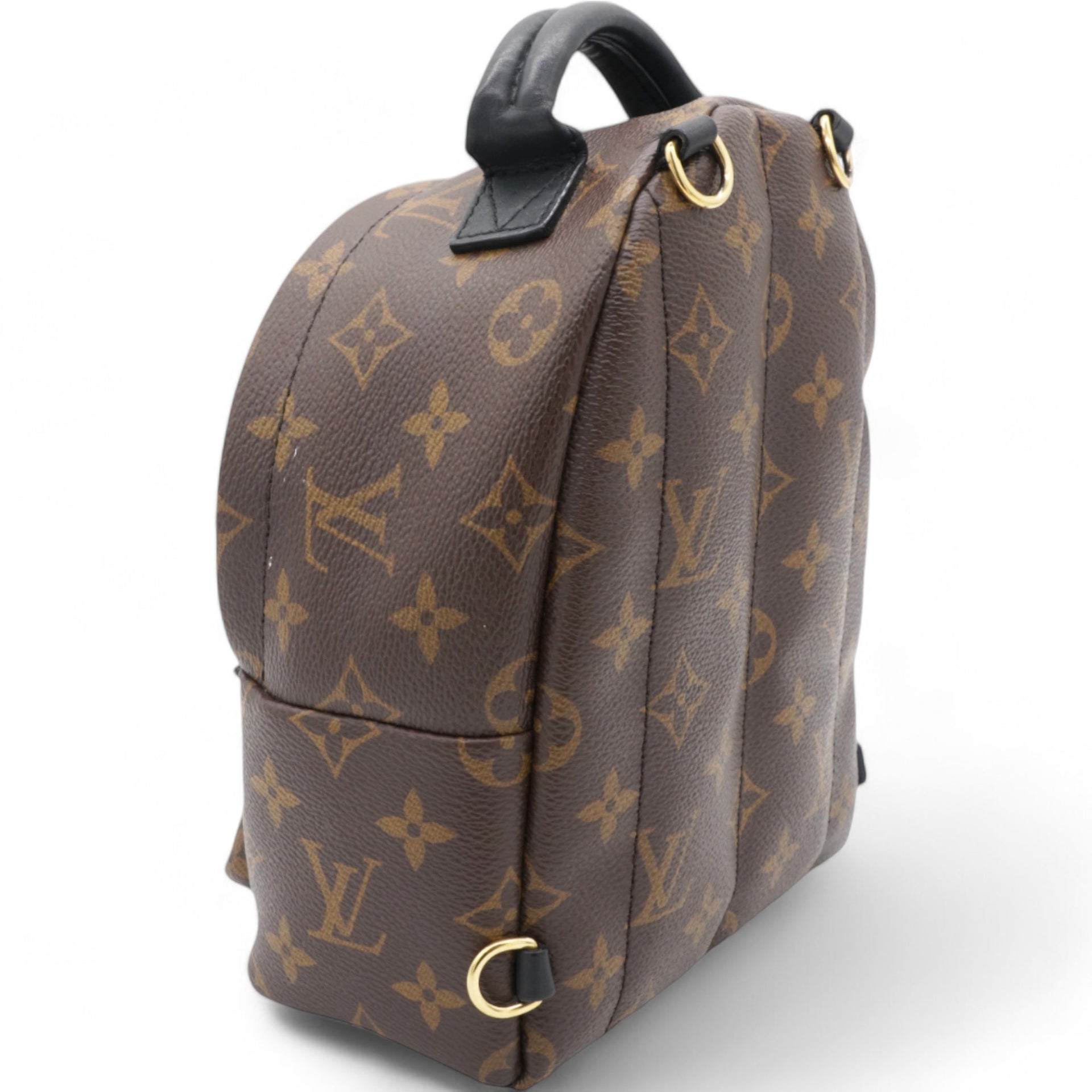 Monogram Palm Springs Backpack Mini