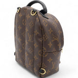 Monogram Palm Springs Backpack Mini