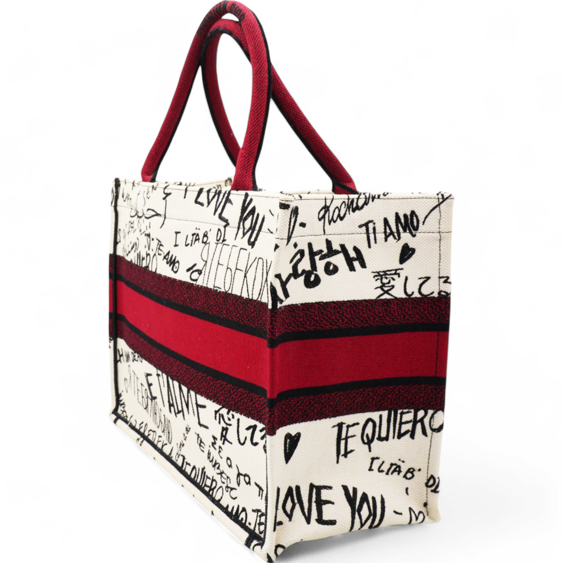 Canvas Embroidered Medium Dioramour Graffiti Book Tote Latte Multicolor