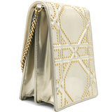 Champagne Glossy Leather Diorama Studded Vertical Chain Clutch