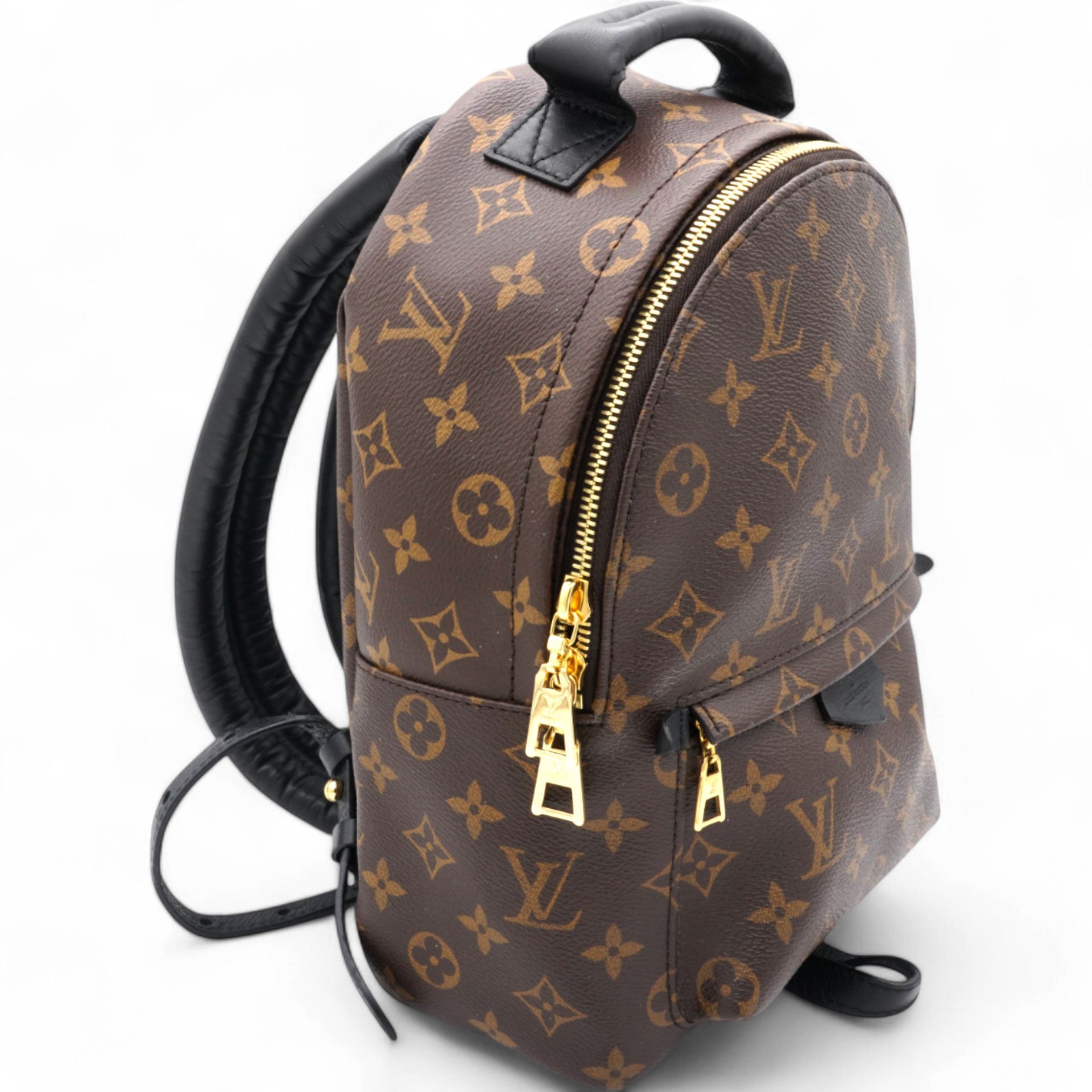 Monogram Palm Springs Backpack PM