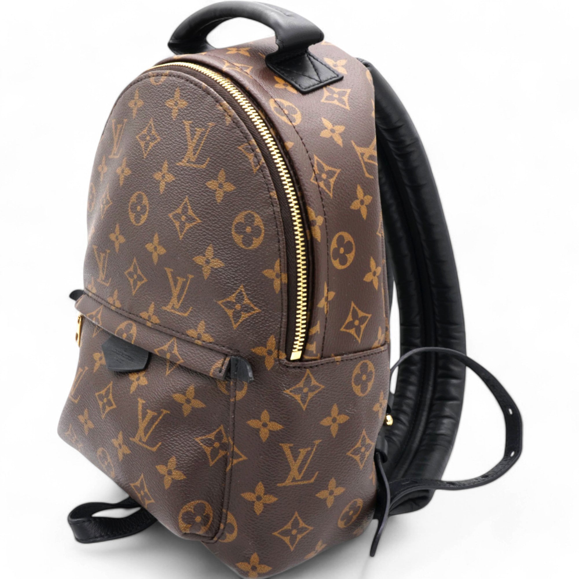 Monogram Palm Springs Backpack PM