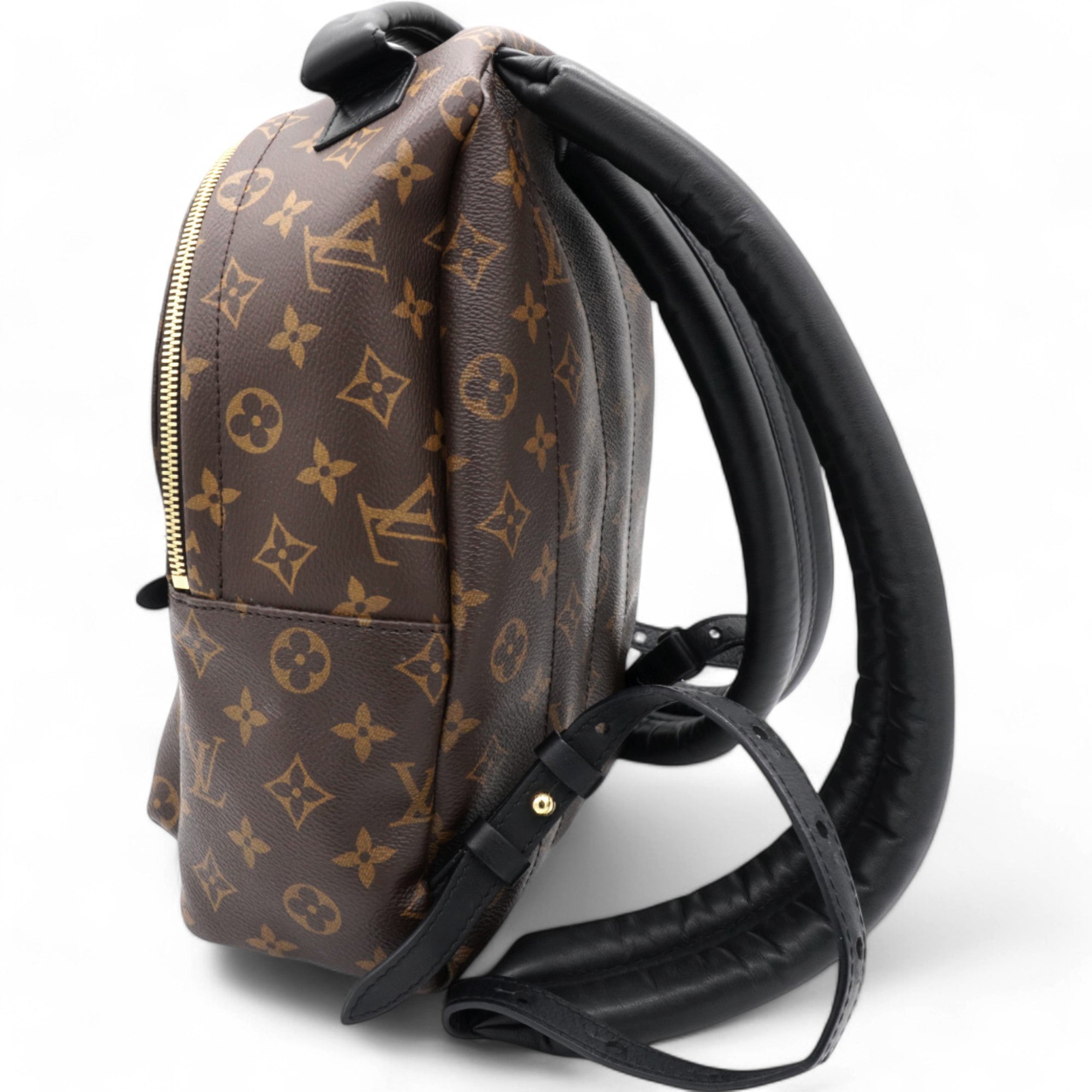 Monogram Palm Springs Backpack PM