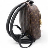 Monogram Palm Springs Backpack PM