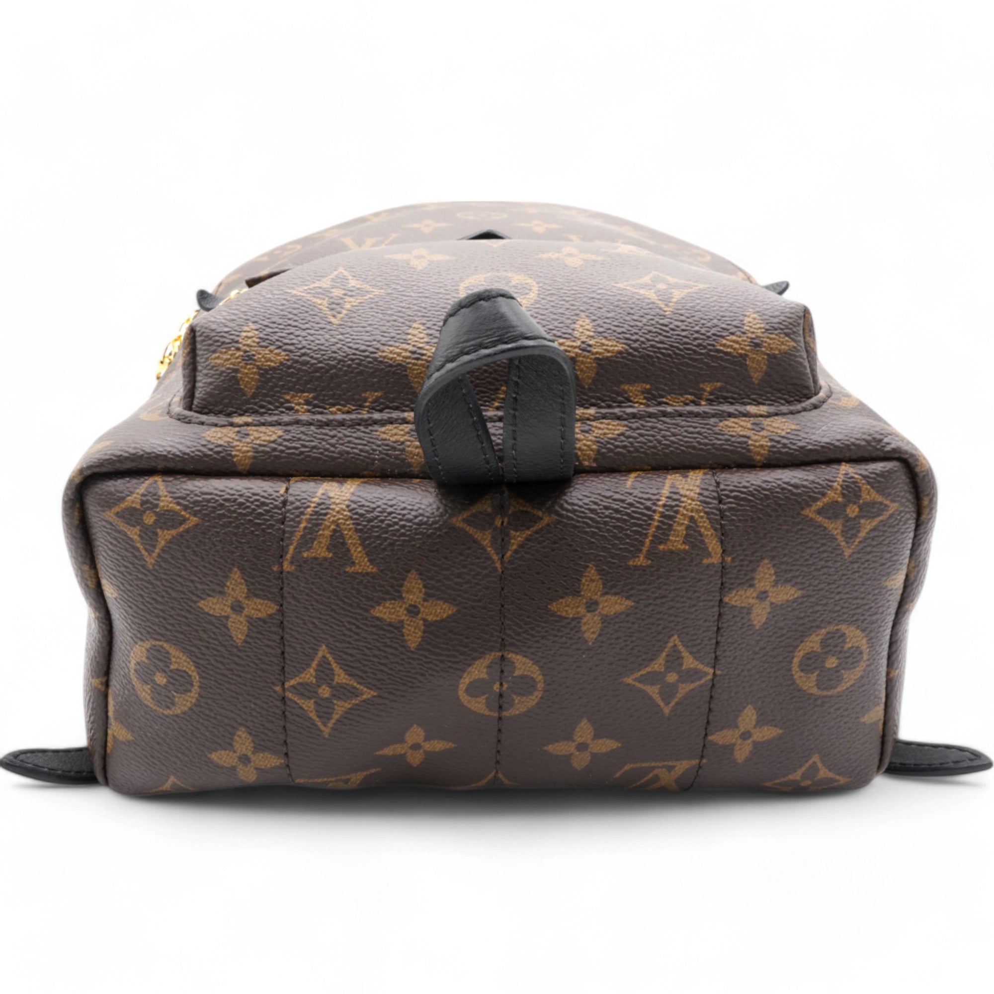 Monogram Palm Springs Backpack PM