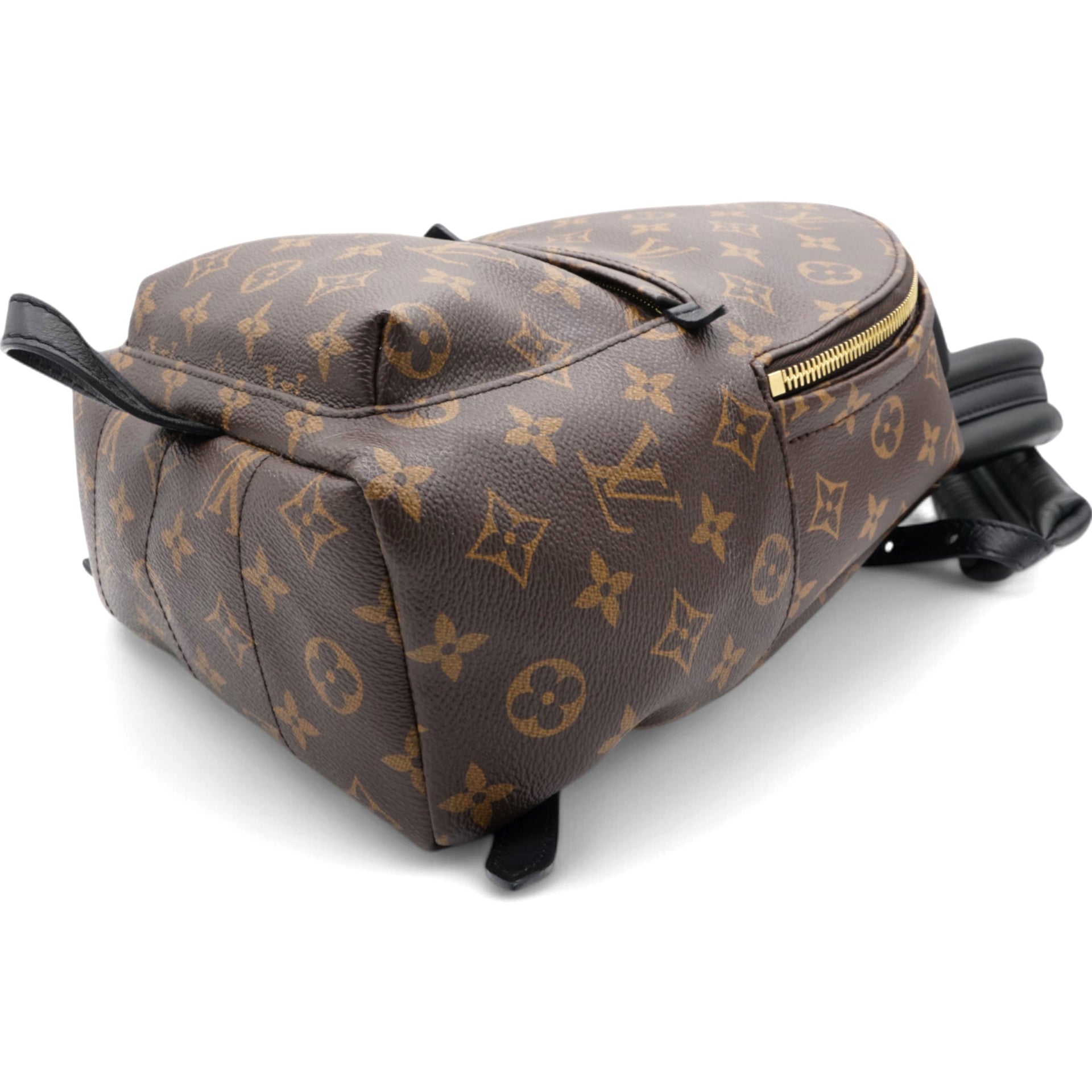 Monogram Palm Springs Backpack PM