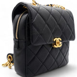 22P Caviar Leather Backpack