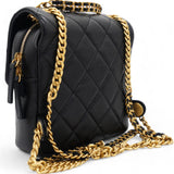 22P Caviar Leather Backpack