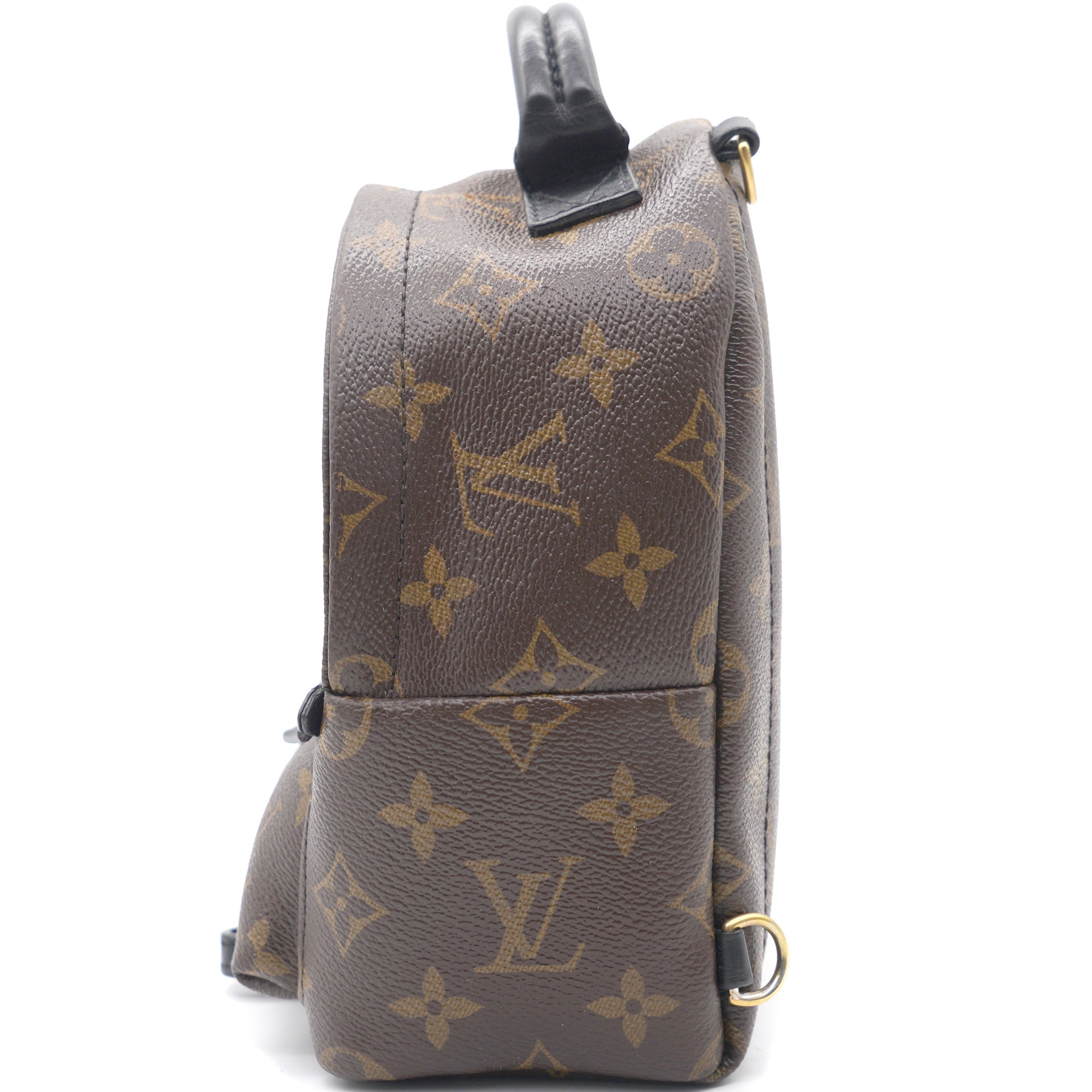 Louis Vuitton Canvas 2022 Monogram Mini Palm Springs Backpack/ Crossbody Bag  - Luxury In Reach