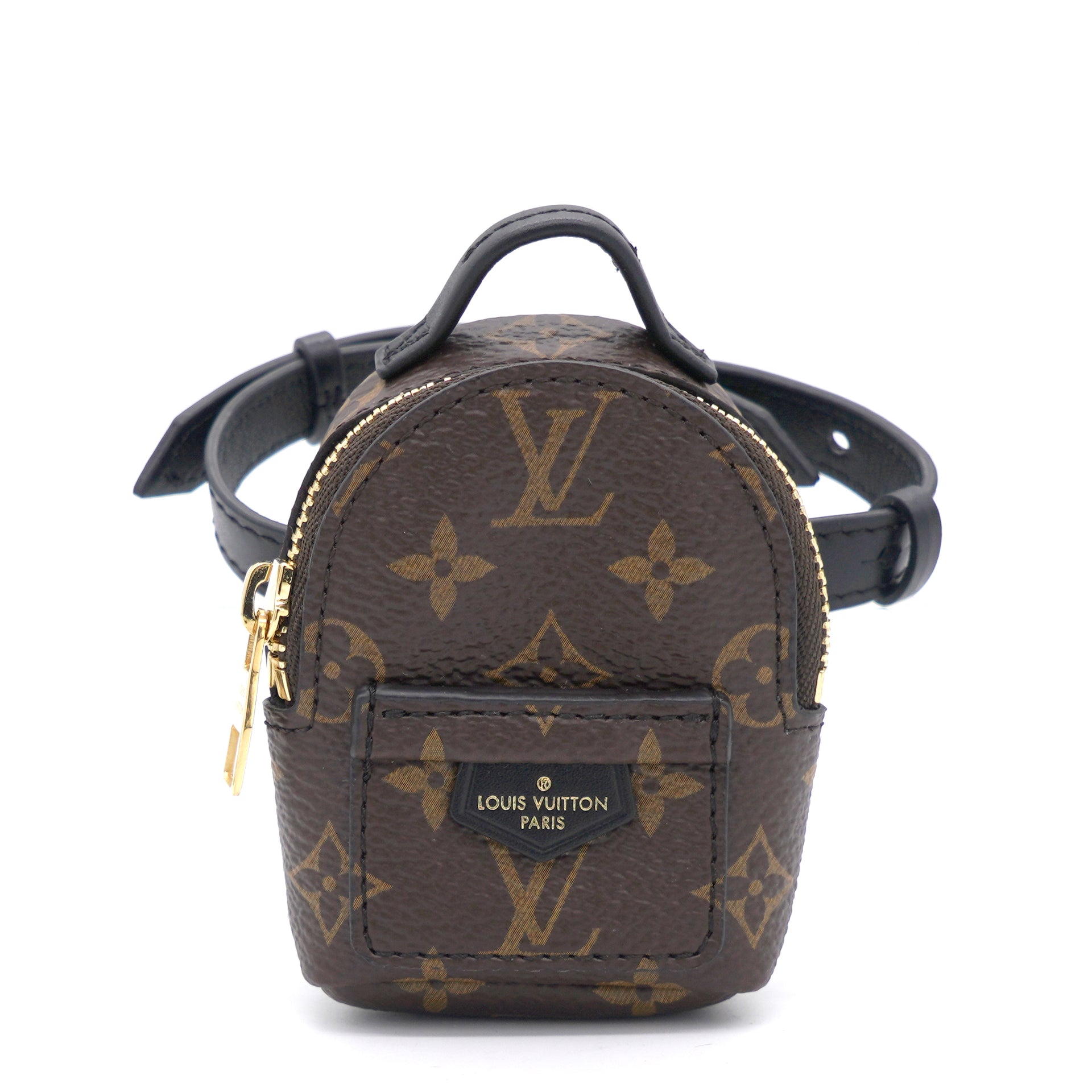 Louis Vuitton, Bags, Louis Vuitton Party Palm Springs Bracelet Mini  Backpack