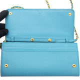 Blue Vitello Chain Wallet