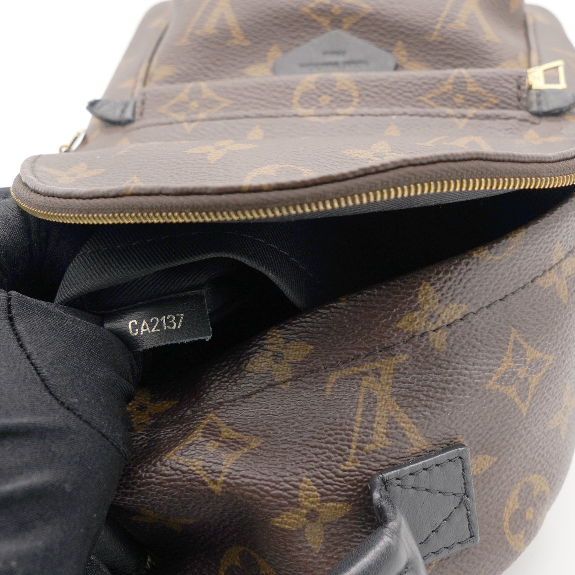 A Closer Look: Louis Vuitton Palm Springs Backpack
