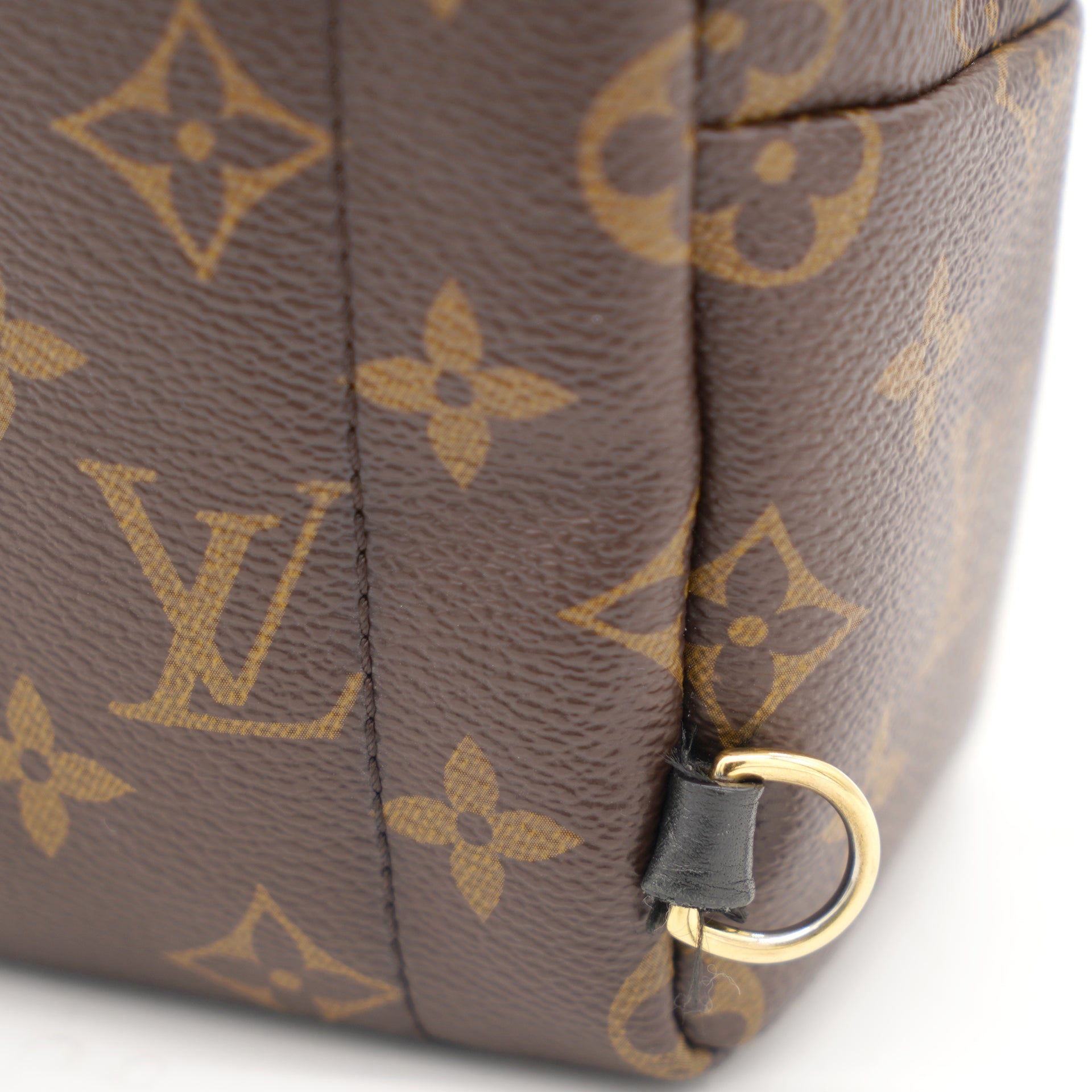 Louis Vuitton Monogram Canvas Mini Palm Springs Backpack – STYLISHTOP