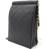 Vertical Pearls Clutch with Chic Pearl Chain In Black and Gold Hardware GHW