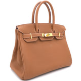 Gold Togo Leather Gold Plated Birkin 30 Bag