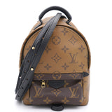 Louis Vuitton Palm Springs Mini Backpack Reverse in Dustbag