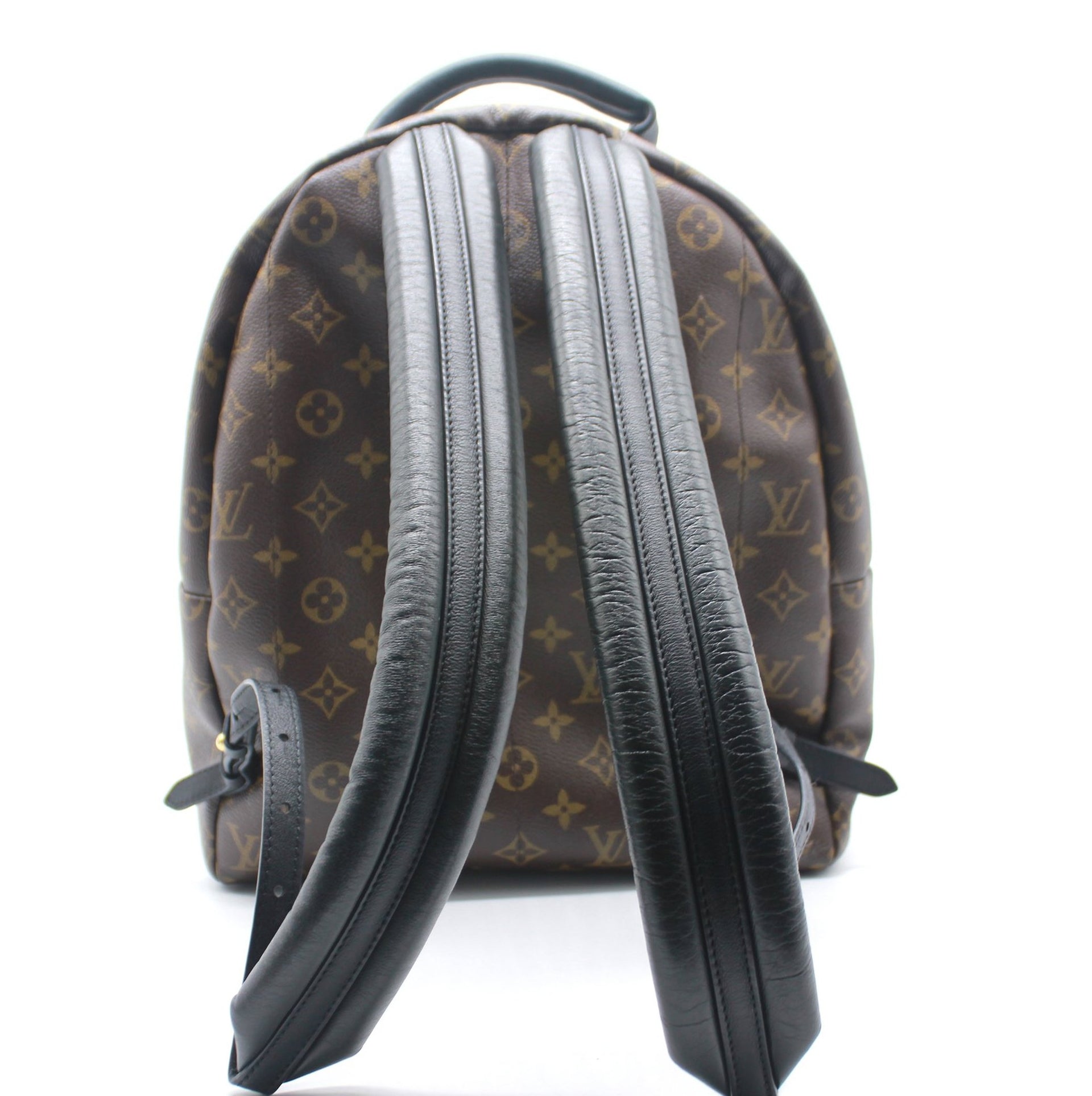 Louis Vuitton Palm Springs backpack, from the 2016 luxury house Cruise  series