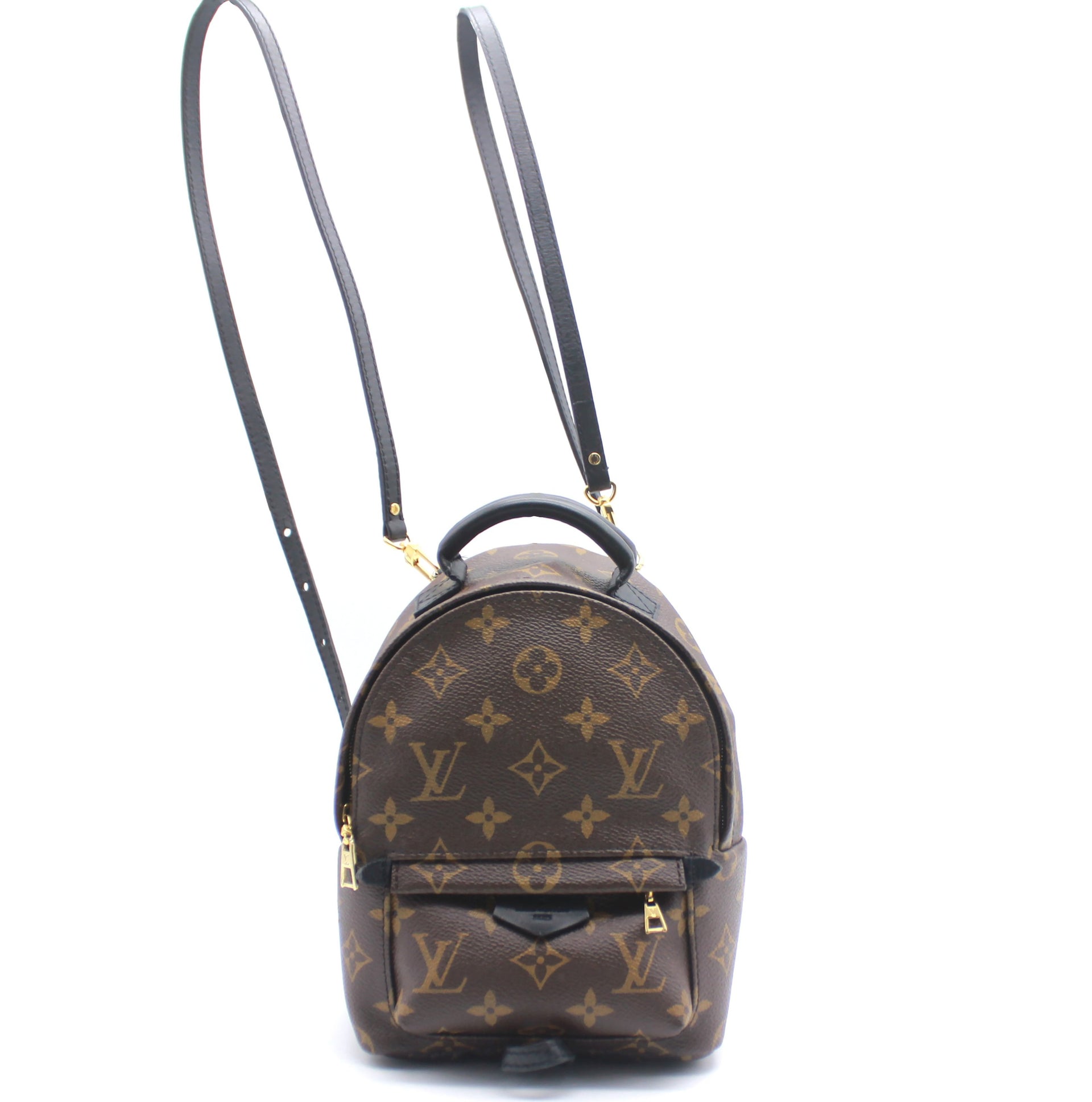 Louis Vuitton 'Palm Springs' Backpack Mini