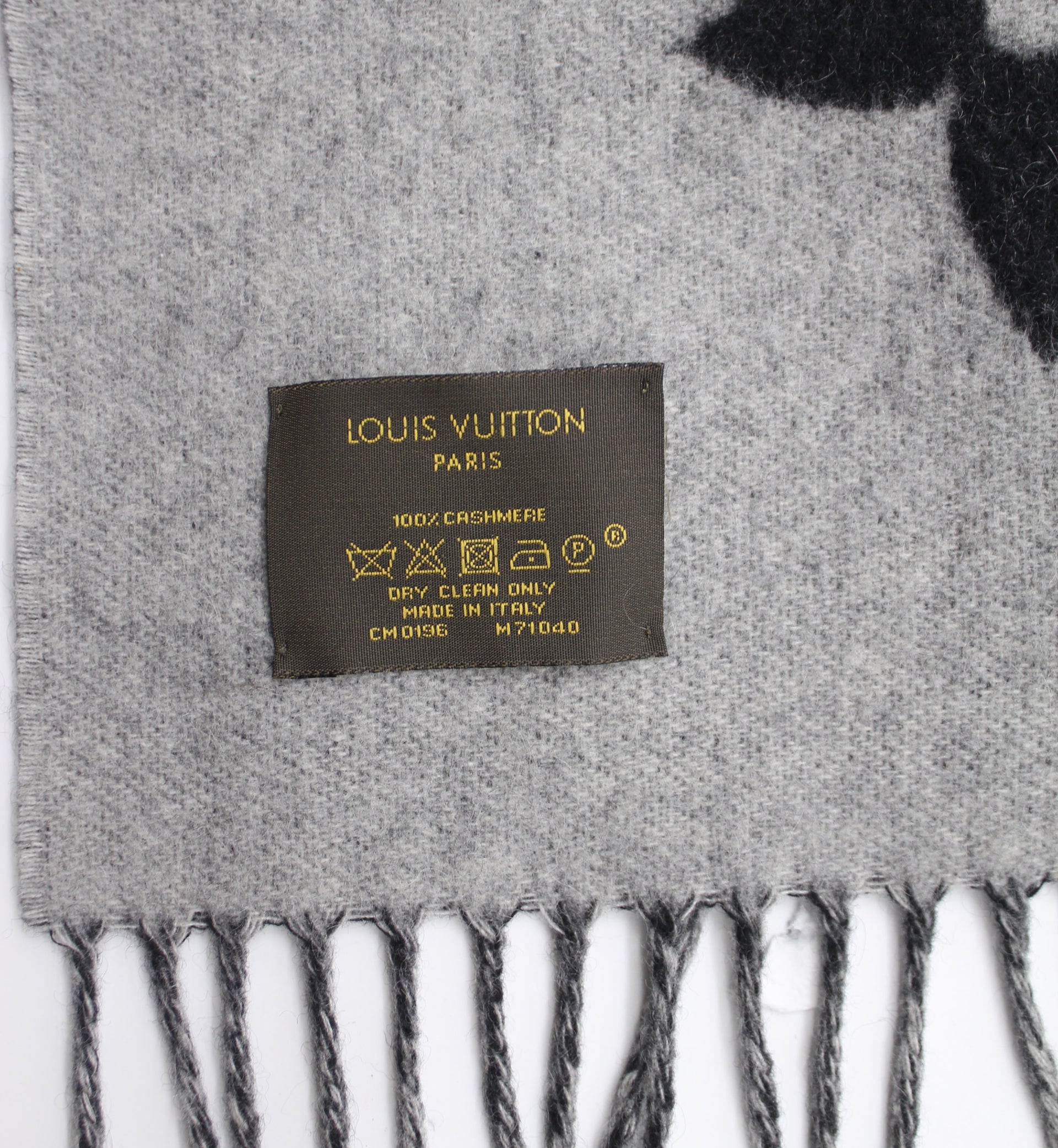 Louis Vuitton Authenticated Reykjavik Cashmere Scarf