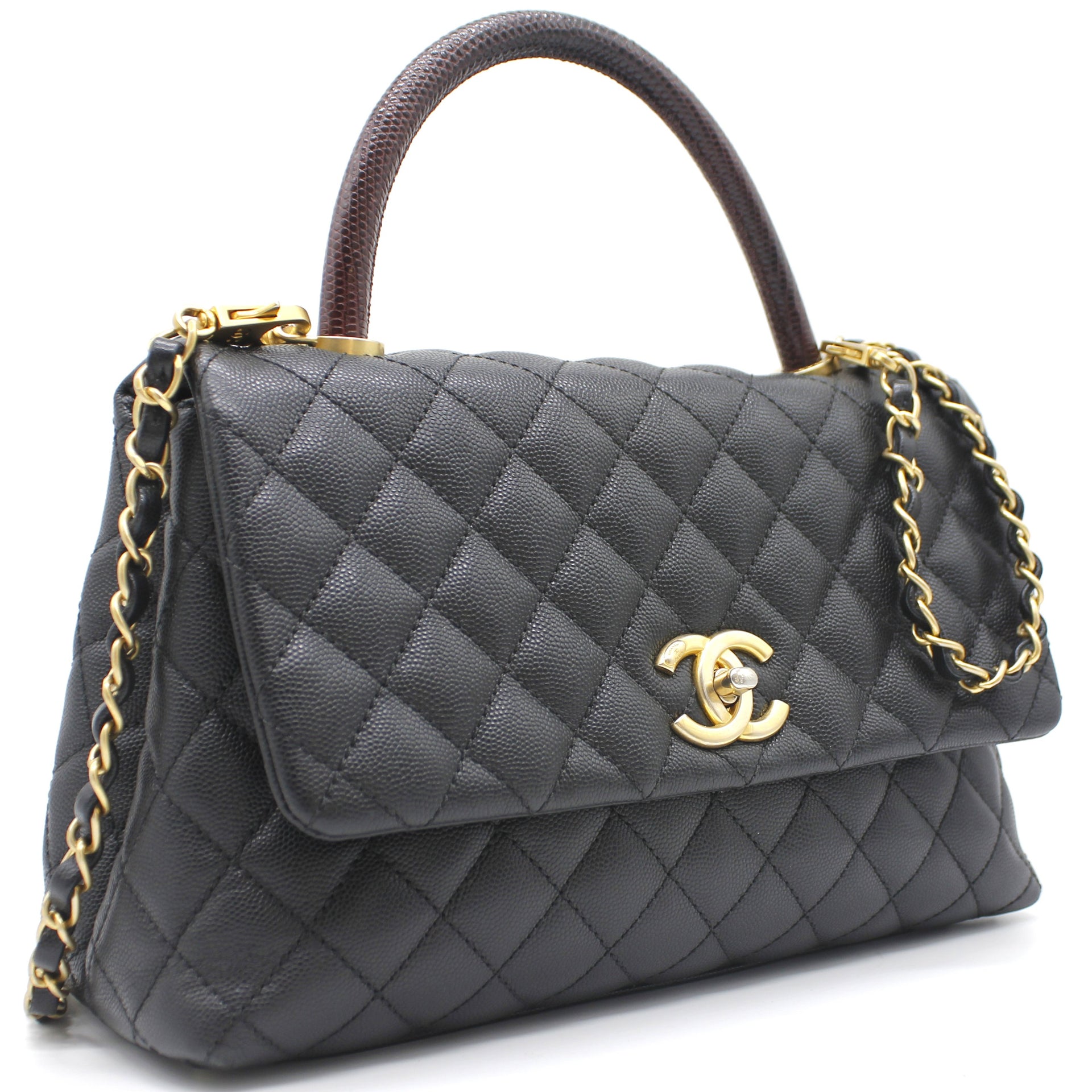 Chanel Lizard Coco Handle Small Flap Bag