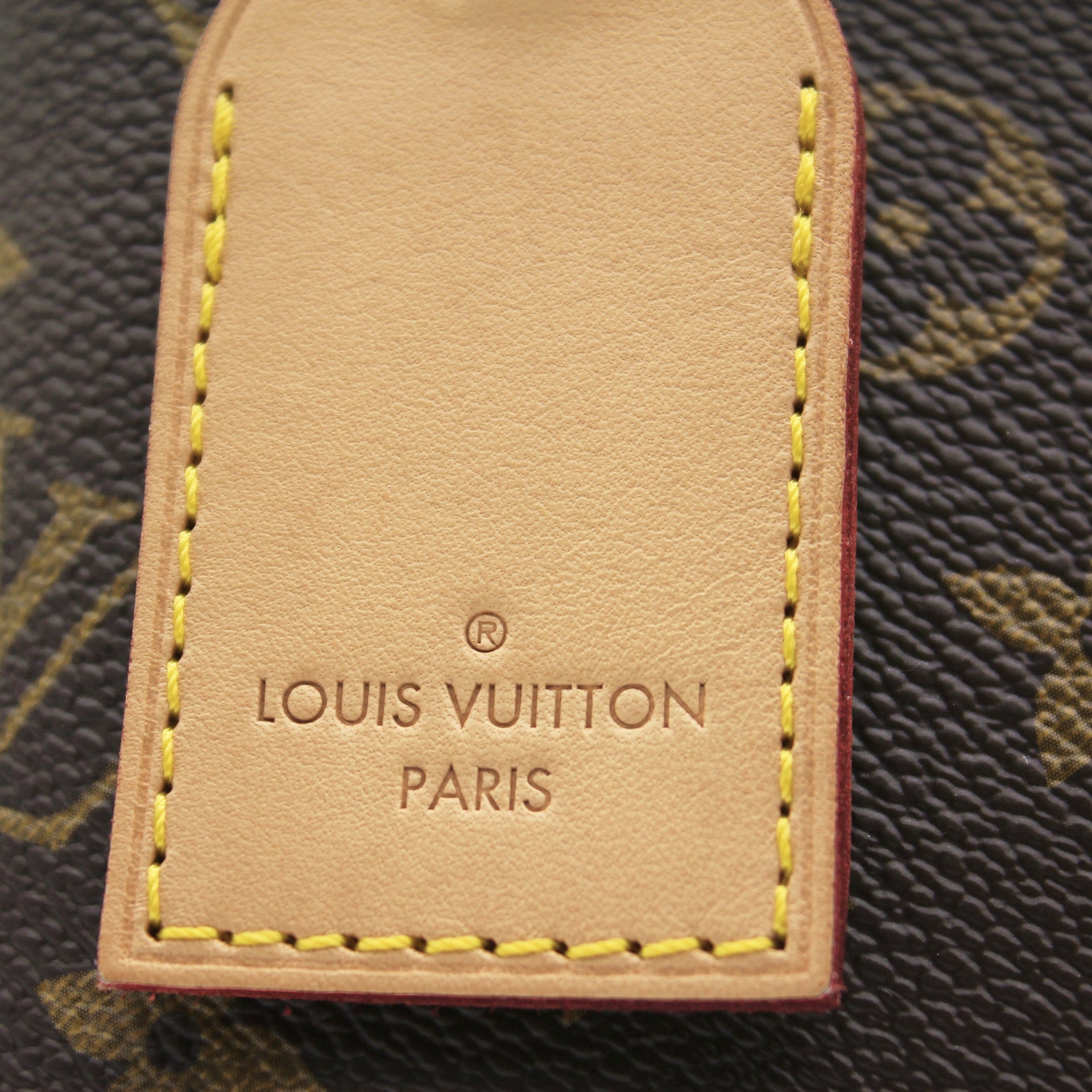 Name of bag? : r/Louisvuitton
